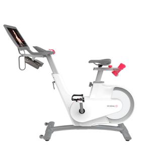 Купить Велотренажер Yesoul BV1-W PLUS в Адыгейске 